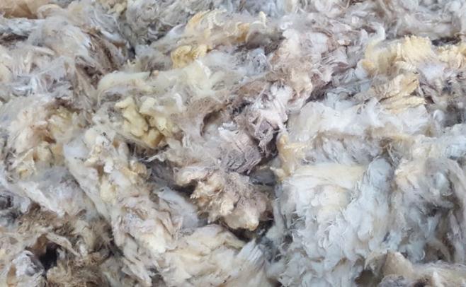 Central Lanera obtuvo el precio máximo, donde un lote Merino cotizó a 14,43